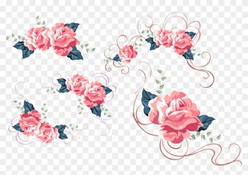Beach Rose Still Life - Rose Lace Personalized Invitation