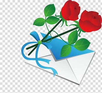 Beach rose Valentines Day Gift, Envelope Rose transparent background PNG clipart