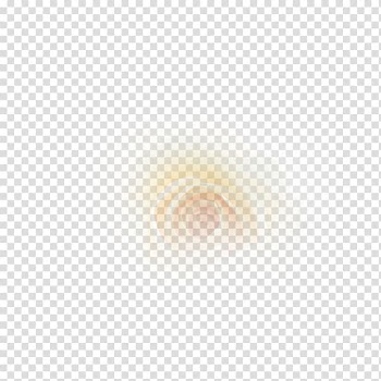 Beach rose, White roses transparent background PNG clipart