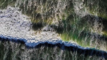 beach seashore