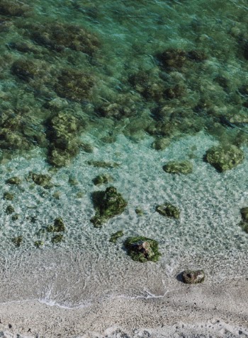 Beach Shore