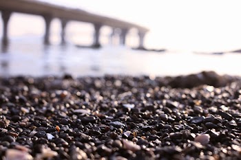 Beach Shore in Shallow Photo