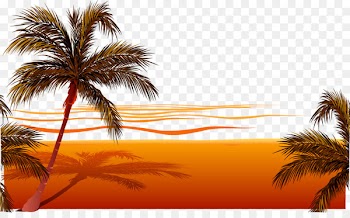 Beach Sunset Clip art - Vector beach 