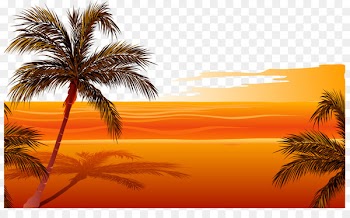 Beach Sunset Drawing Clip art - Vector sunset beach 
