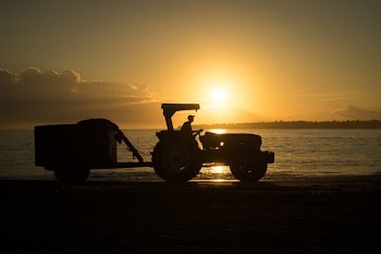 Beach Tractor Trailer