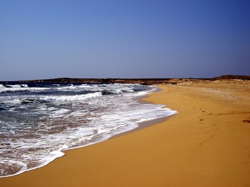 beach_u.jpg