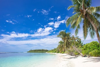 Beach Under White and Blue Clouds