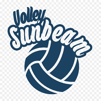 Beach volleyball Ball game - volleyball 