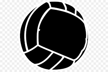 Beach volleyball Sport - beach volleyball 