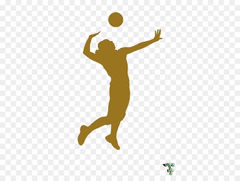 Beach volleyball Sport Silhouette - voleibol 