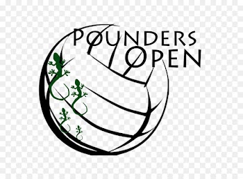 Beach volleyball Sport Sitting volleyball Volleyball net - volleyball 