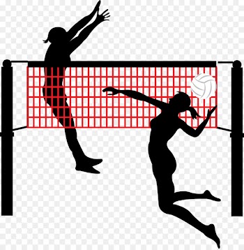 Beach volleyball Volleyball net Sport - Smash and block the volleyball player 