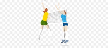 Beach volleyball Volleyball net - Vector Sports Volleyball 