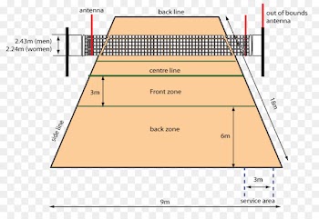 Beach volleyball Volleyball Training Sport - volleyball 