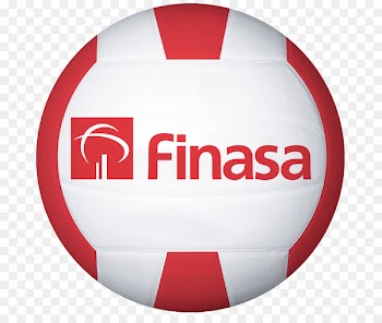 Beach volleyball Wilson Sporting Goods - ball 