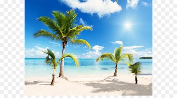 Beach Wallpaper - Beach Download Png 