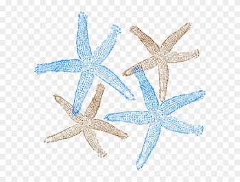 Beach Wedding Clip Art