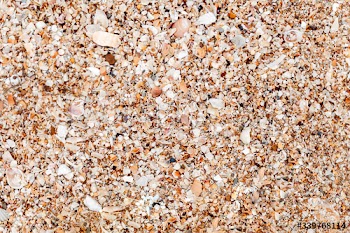 Beach with seashells