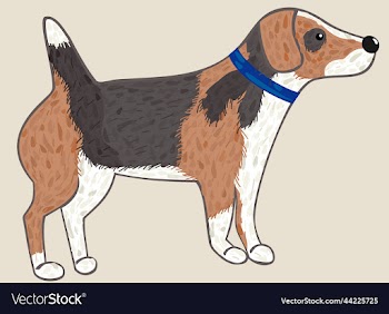 beagle