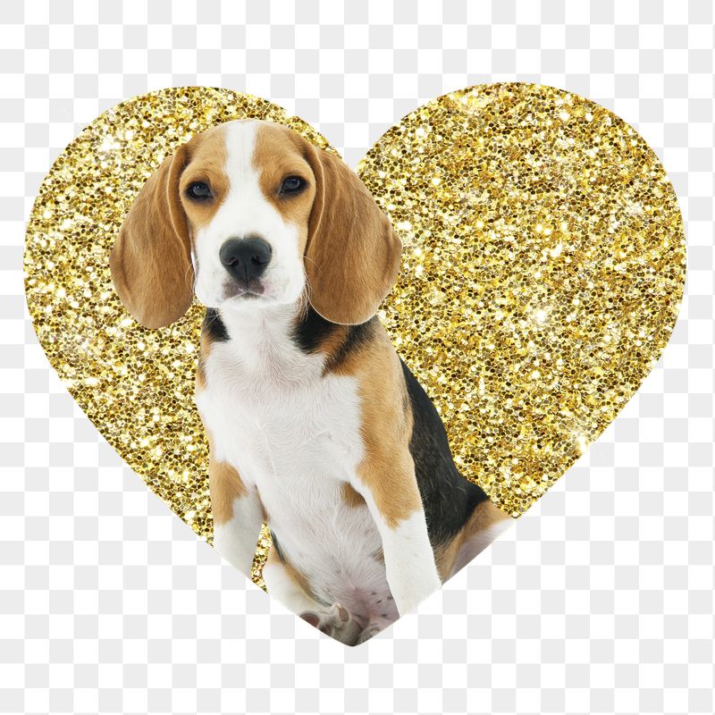 Beagle dog png badge sticker, | Free PNG - rawpixel