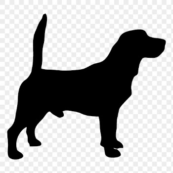 Beagle dog png sticker animal | Free PNG - rawpixel