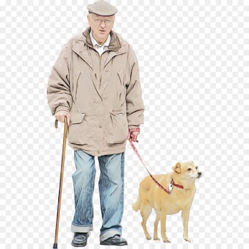 Beagle, Labrador Retriever, English Cocker Spaniel, Dog, Canidae PNG
