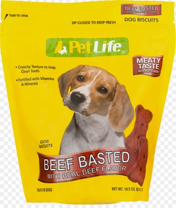 Beagle Pet Puppy Costume Clip art - puppy 