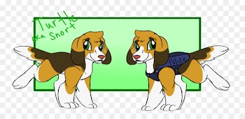 Beagle Puppy Dog breed Search and rescue dog Turtle - snort frame 