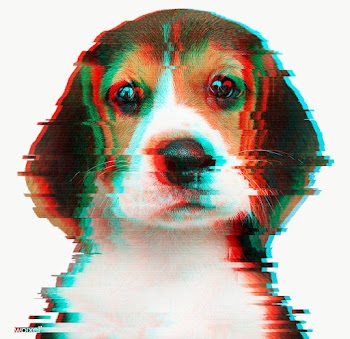 Beagle puppy with glitch effect sticker overlay | Free  transparent png - 2359201