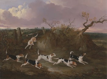 Beagles in Full Cry | Free Photo - rawpixel