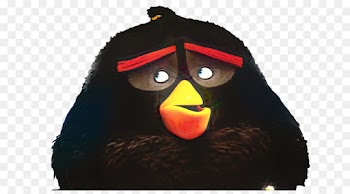 Beak, Angry Birds, Animation PNG