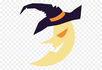 Beak Bird Duck Swan Goose - Transparent Haunted Moon PNG Picture 