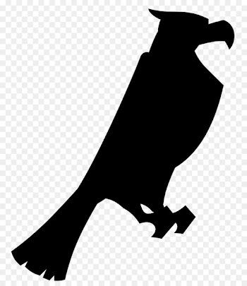 Beak, Bird, Finches PNG