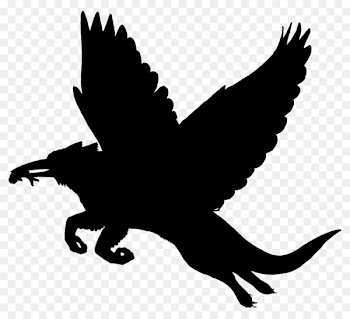 Beak Bird of prey Clip art Fauna -  