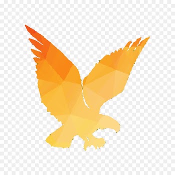 Beak Bird of prey Fauna Font -  