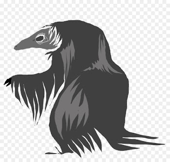 Beak Bird of prey Illustration Carnivores - bird 