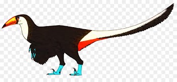 Beak, Bird, Toco Toucan, Dinosaur PNG