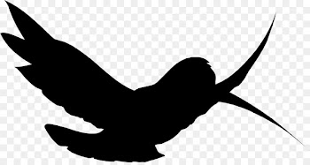 Beak, Character, Fauna, Wing PNG
