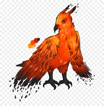 Beak Chicken as food Fauna Feather - chicken 