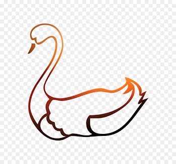 Beak Clip art Bird Cartoon Line art -  