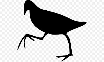 Beak Clip art Bird Silhouette Line art -  