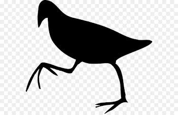 Beak Clip art Bird Silhouette Line art -  