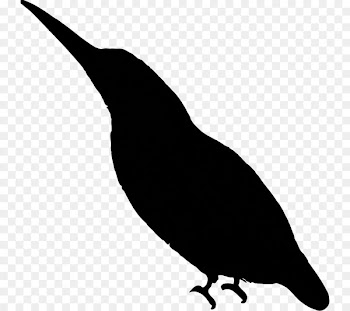 Beak Clip art Fauna Silhouette -  