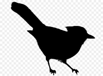 Beak Clip art Fauna Silhouette Landfowl -  
