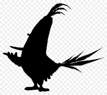 Beak Clip art Feather Fauna Silhouette -  