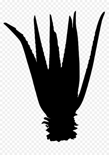 Beak Clip art Finger Silhouette Feather -  