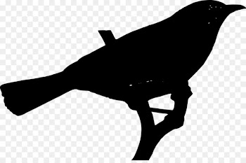 Beak Clip art Silhouette Fauna -  