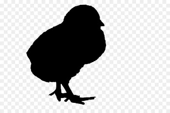 Beak Clip art Silhouette Fauna Landfowl -  