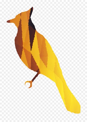 Beak Fauna Feather Landfowl Old World orioles -  
