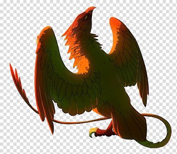 Beak Fauna Feather, pumpkin spice transparent background PNG clipart